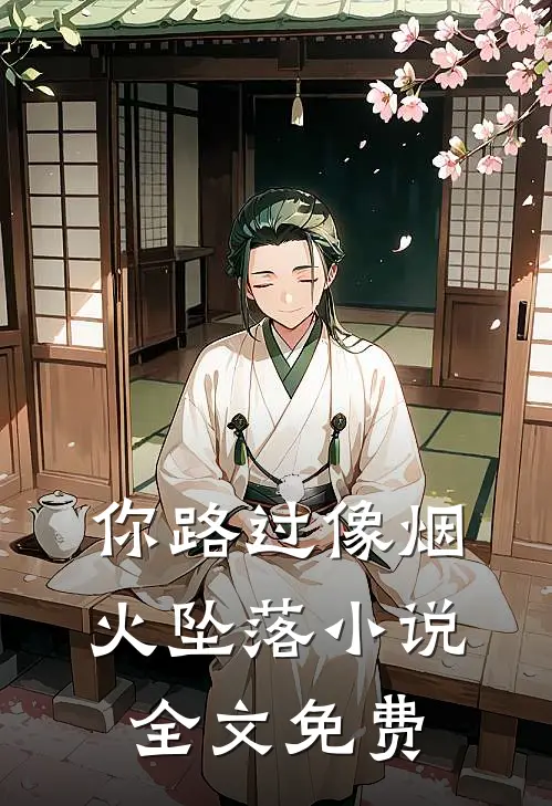 你路过像烟火坠落小说全文免费