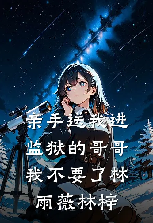 亲手送我进监狱的哥哥，我不要了林雨薇林梓