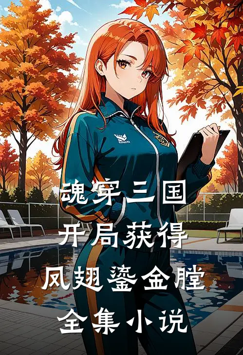魂穿三国，开局获得，凤翅鎏金膛全集小说