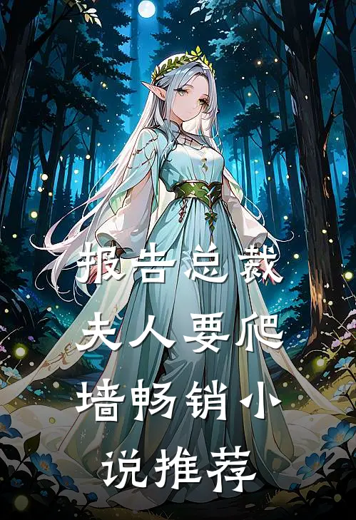 报告总裁：夫人要爬墙畅销小说推荐