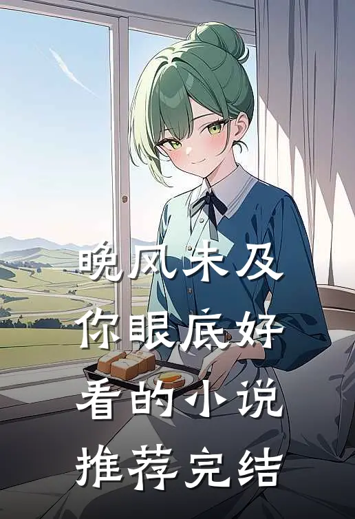 晚风未及你眼底好看的小说推荐完结