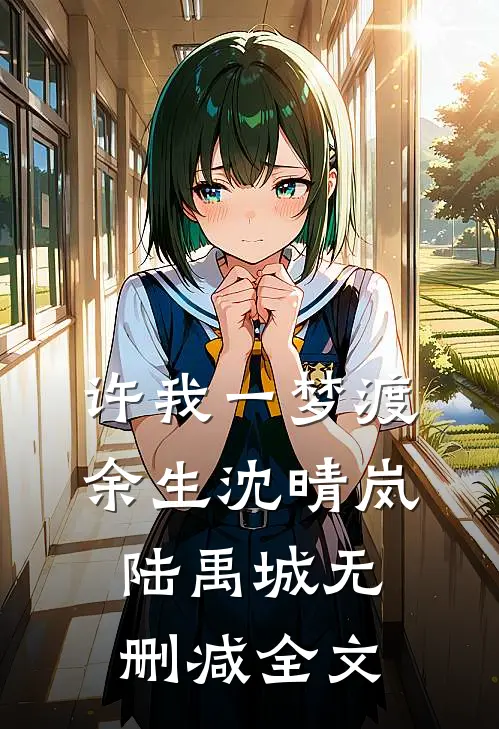 许我一梦渡余生沈晴岚陆禹城无删减全文