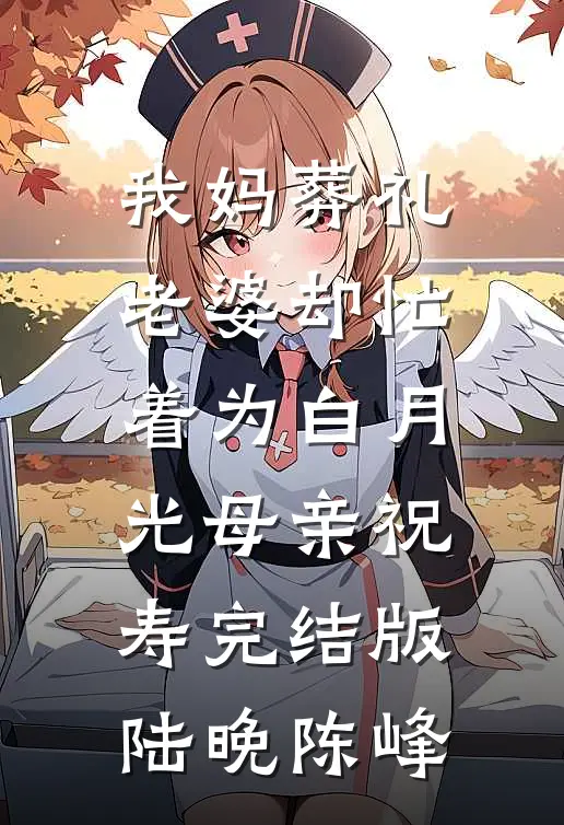我妈葬礼，老婆却忙着为白月光母亲祝寿完结版陆晚陈峰