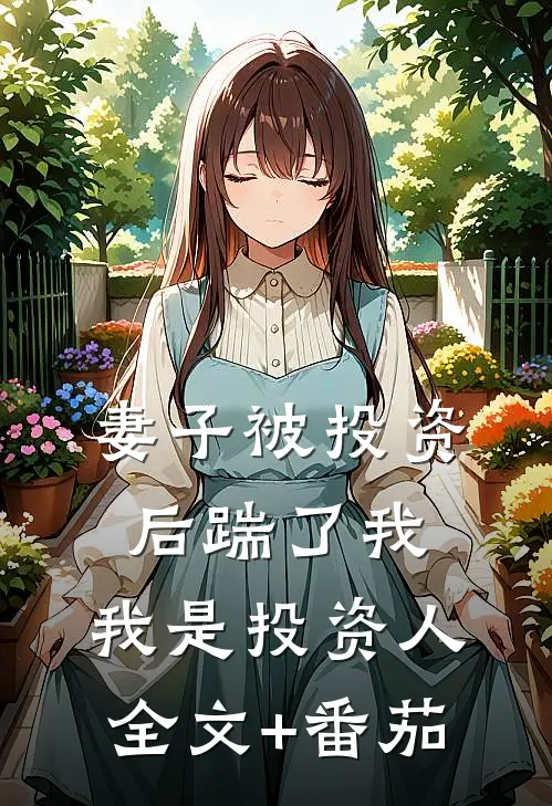 妻子被投资后踹了我，我是投资人全文+番茄