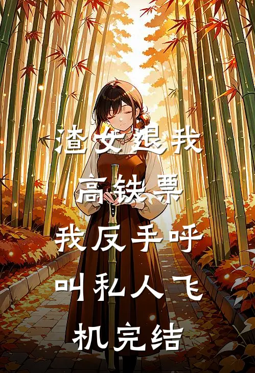 渣女退我高铁票，我反手呼叫私人飞机完结
