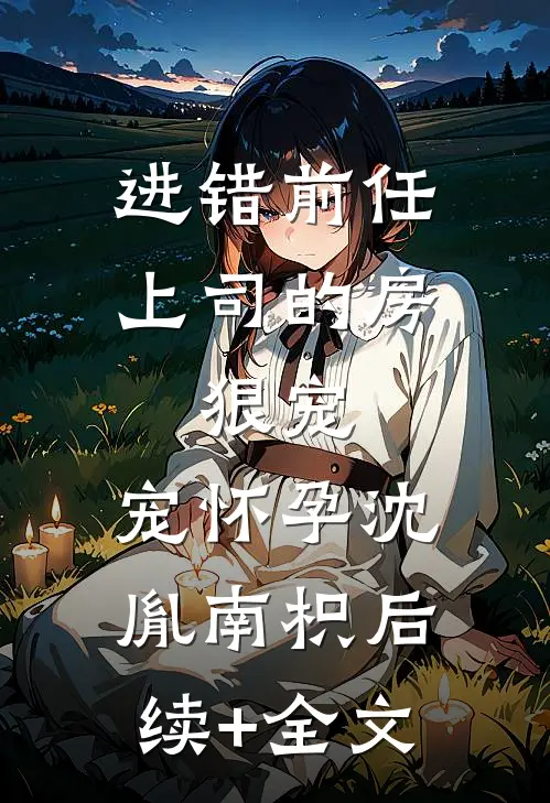 进错前任上司的房，狠宠，宠怀孕沈胤南枳后续+全文