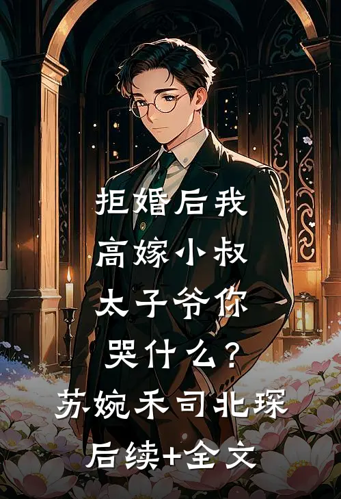 拒婚后我高嫁小叔，太子爷你哭什么？苏婉禾司北琛后续+全文