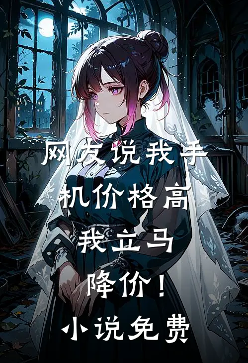 网友说我手机价格高，我立马降价！小说免费