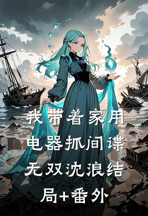 我带着家用电器抓间谍无双沈浪结局+番外
