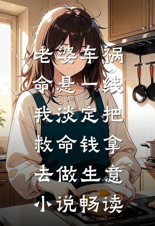 老婆车祸命悬一线，我淡定把救命钱拿去做生意小说畅读