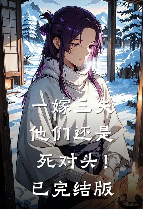 一嫁三夫，他们还是死对头！已完结版