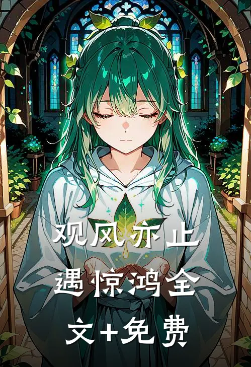 观风亦止遇惊鸿全文+免费