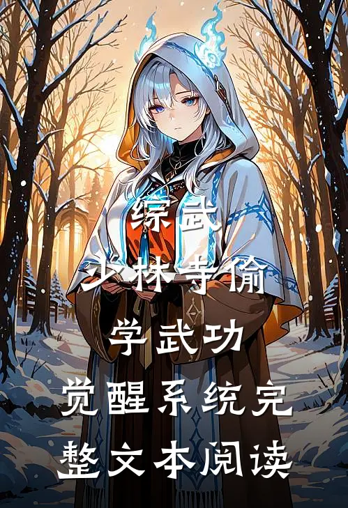 综武：少林寺偷学武功，觉醒系统完整文本阅读