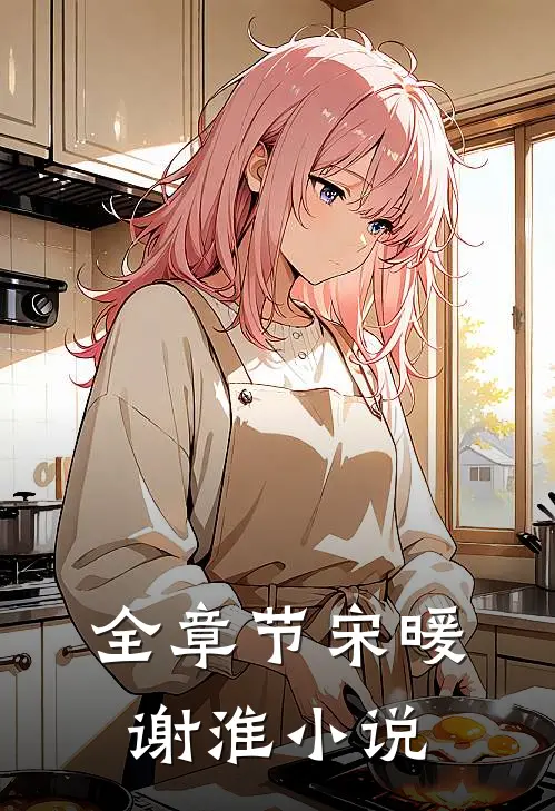 全章节宋暖谢淮小说