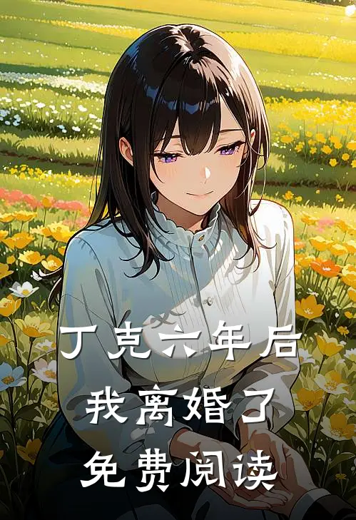 丁克六年后，我离婚了免费阅读