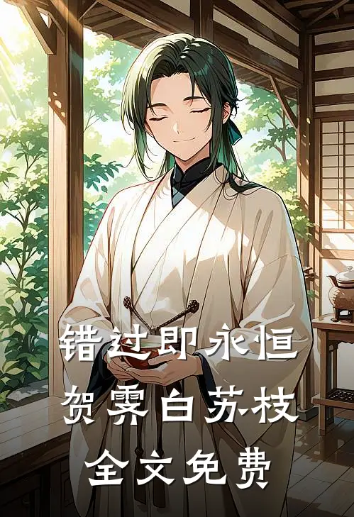 错过即永恒贺霁白苏枝全文免费
