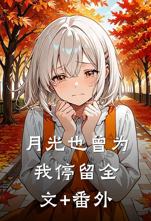 月光也曾为我停留全文+番外