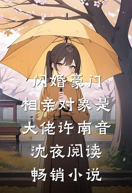 闪婚豪门：相亲对象是大佬许南音沈夜阅读畅销小说