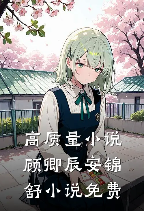 高质量小说顾卿辰安锦舒小说免费