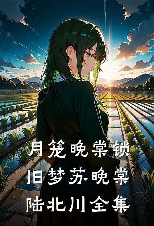 月笼晚棠锁旧梦苏晚棠陆北川全集