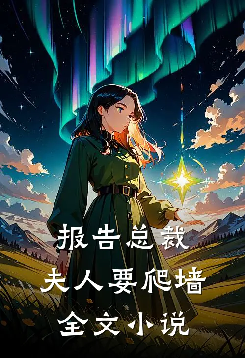 报告总裁：夫人要爬墙全文小说