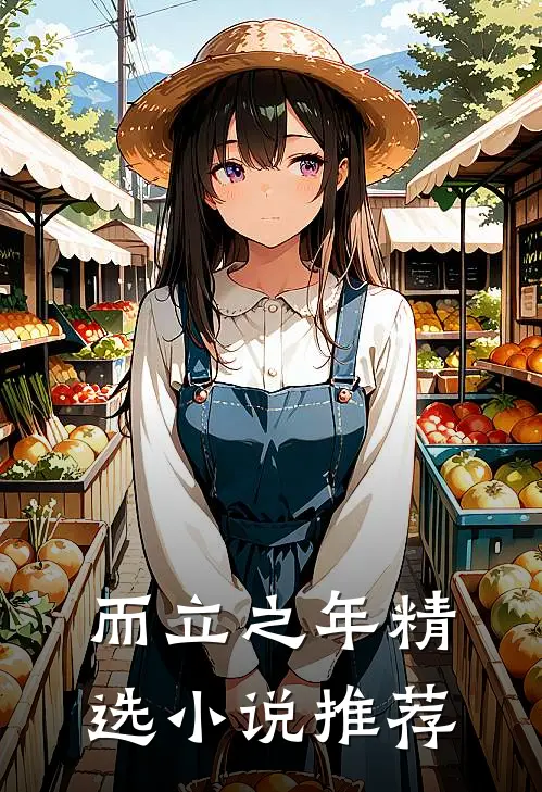 而立之年精选小说推荐