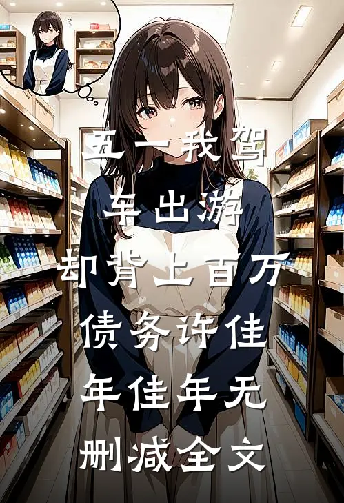 五一我驾车出游，却背上百万债务许佳年佳年无删减全文