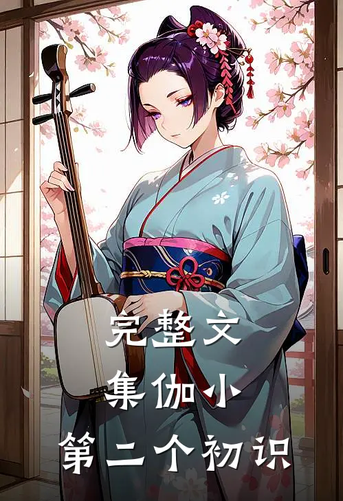 完整文集伽小：第二个初识