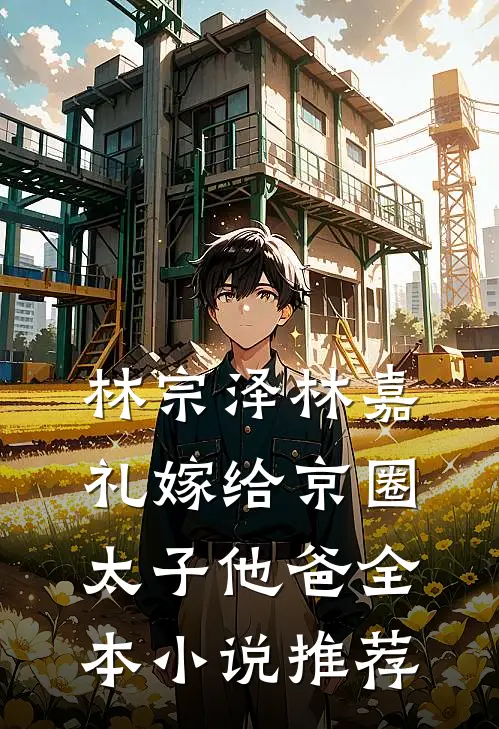 林宗泽林嘉礼嫁给京圈太子他爸全本小说推荐