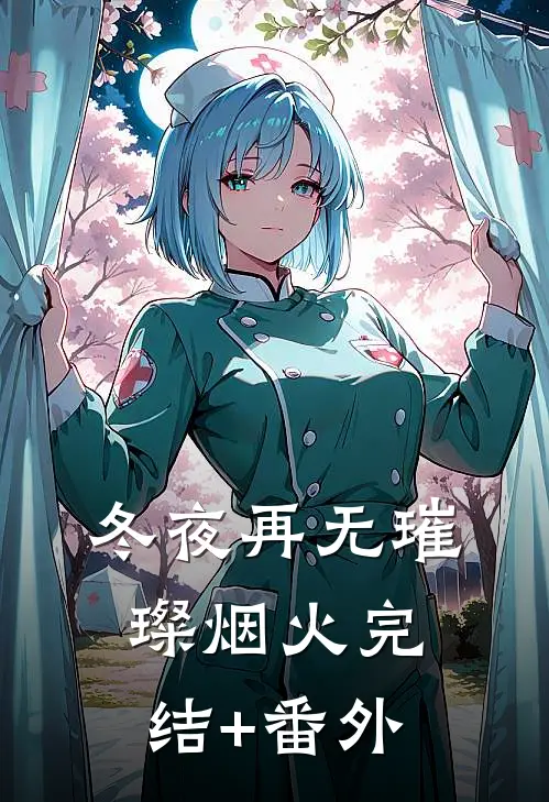 冬夜再无璀璨烟火完结+番外