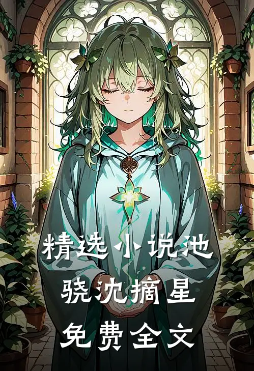 精选小说池骁沈摘星免费全文
