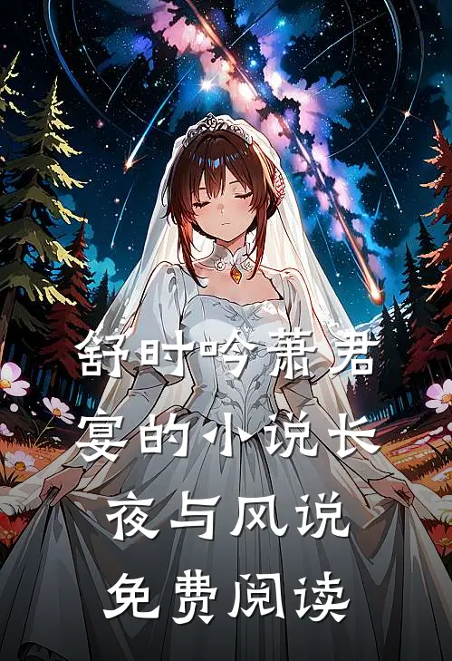 舒时吟萧君宴的小说长夜与风说免费阅读