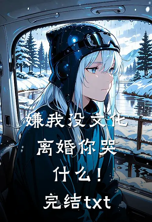 嫌我没文化，离婚你哭什么！完结txt