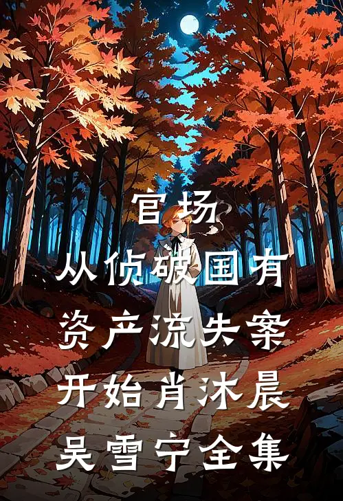 官场：从侦破国有资产流失案开始肖沐晨吴雪宁全集