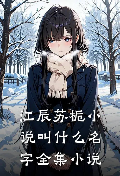 江辰苏栀小说叫什么名字全集小说