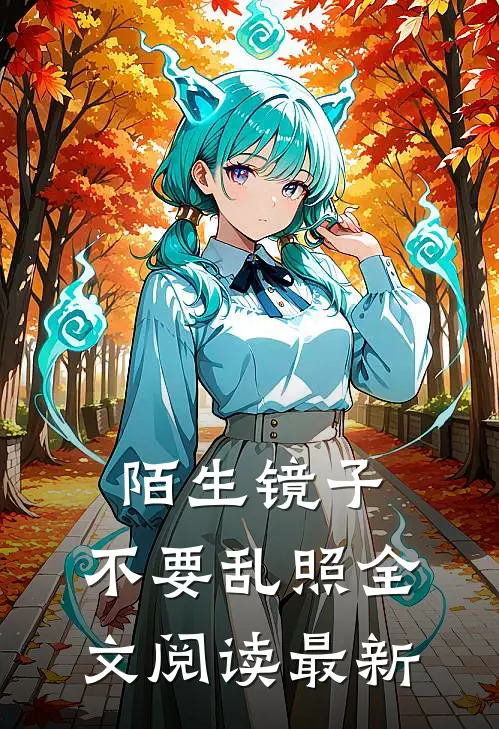 陌生镜子，不要乱照全文阅读最新