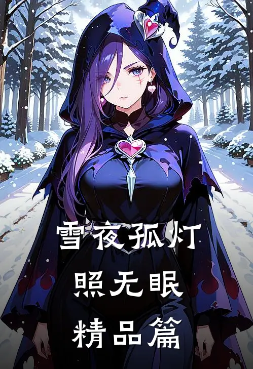 雪夜孤灯，照无眠精品篇