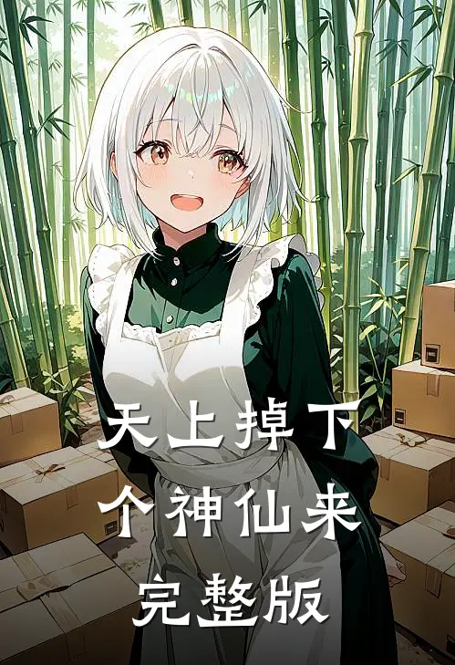 天上掉下个神仙来完整版