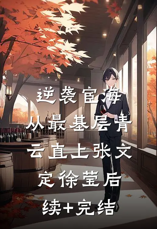 逆袭宦海：从最基层青云直上张文定徐莹后续+完结