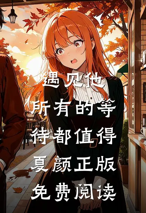 遇见他，所有的等待都值得夏颜正版免费阅读