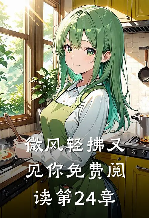微风轻拂又见你免费阅读第24章