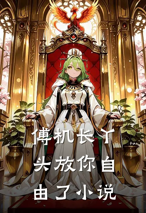 傅机长丫头放你自由了小说
