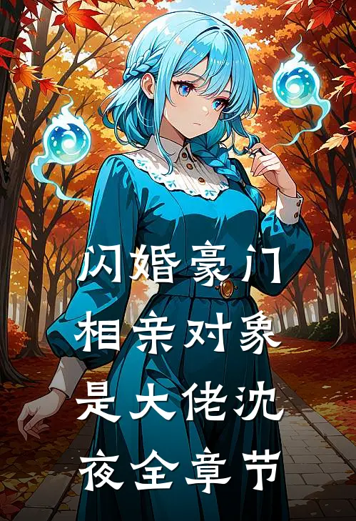 闪婚豪门相亲对象是大佬沈夜全章节