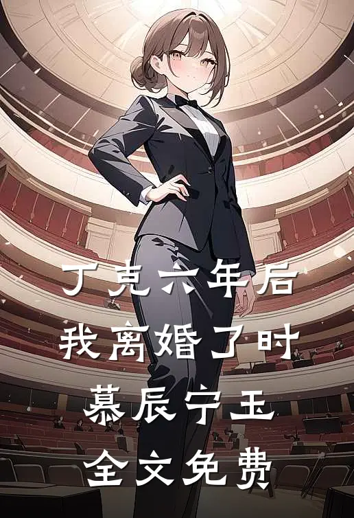丁克六年后，我离婚了时慕辰宁玉全文免费