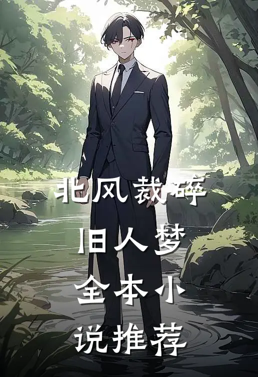 北风裁碎旧人梦全本小说推荐