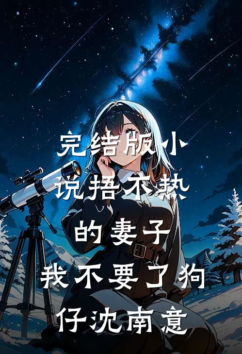完结版小说捂不热的妻子，我不要了狗仔沈南意