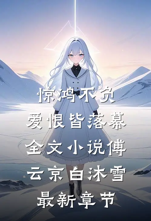惊鸿不负，爱恨皆落幕全文小说傅云京白沐雪最新章节