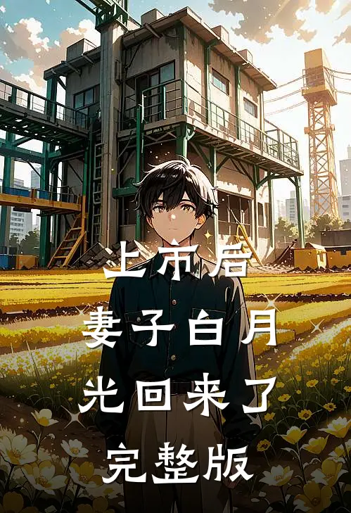上市后，妻子白月光回来了完整版