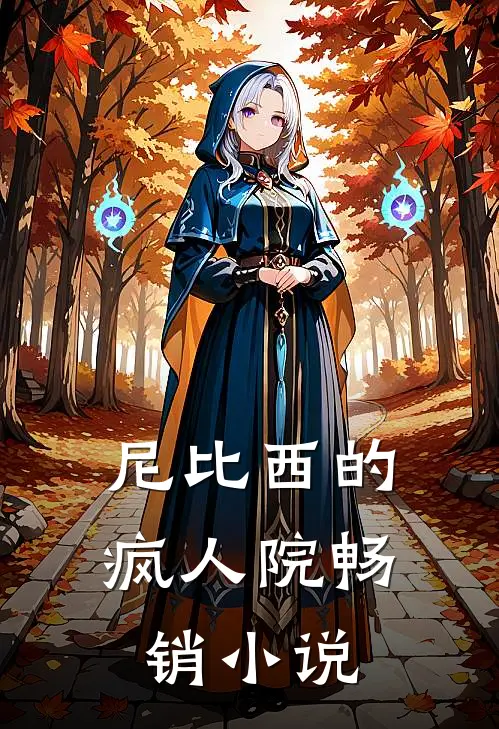 尼比西的疯人院畅销小说