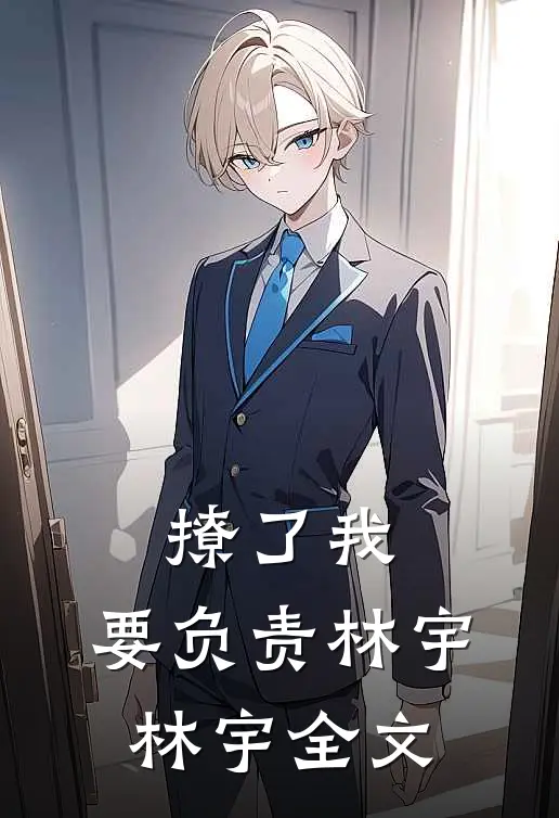 撩了我，要负责林宇林宇全文